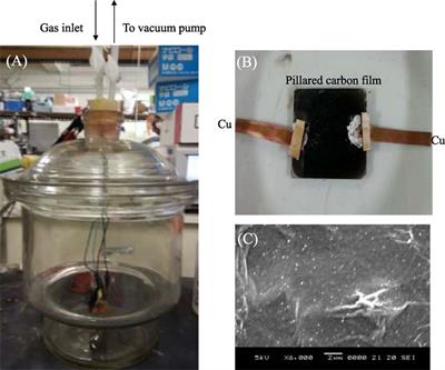 Selective Detection of Acetone Vapor Using Hydrophobized Pillared Carbon Thin Films